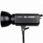 GODOX SL-100W LED GODOX SL-100W LED