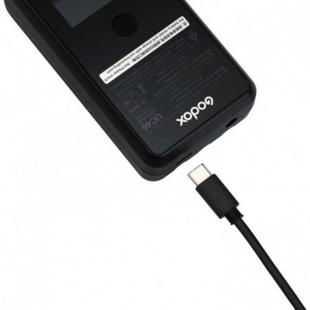 Godox UC46 Charger for WB400P, WB87, WB26 (simultaneously charging)