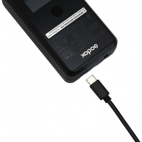 Godox UC46 Chargeur pour WB400P, WB87, WB26 ( charge simultanée)