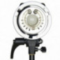 Godox MS200 Studiolampe