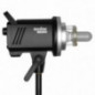 Godox MS300 Studiolampe