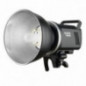 Godox MS300 Studio Flash