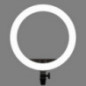 Godox LR-150B Ring Light Illuminatore LED anulare Godox LR-150B Ring Light Illuminatore LED anulare