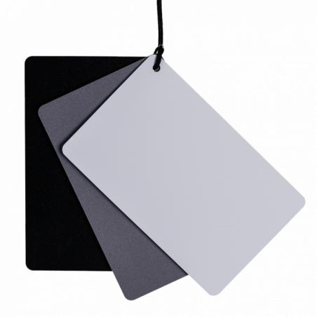 Genesis Gear Graukarte 3-in-1 8,7 × 5,5 cm