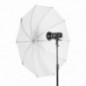 Réflecteur Quadralite Atlas 18 cm Réflecteur Quadralite Atlas 18 cm