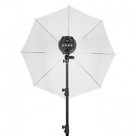Studio-Set Quadralite Up! 600 Kit