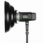 Quadralite Wave Beauty Dish argento 55 cm Quadralite Wave Beauty Dish argento 55 cm