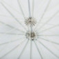Quadralite Deep Space 130 white parabolic umbrella