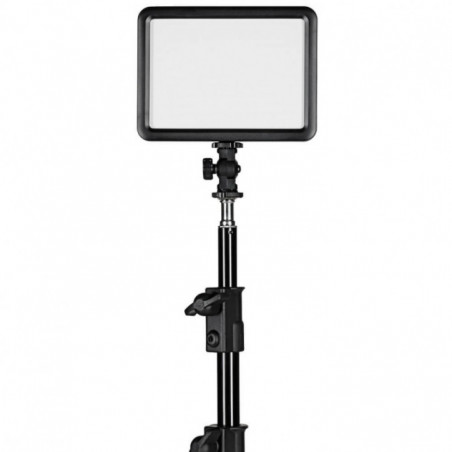 Kit Quadralite Thea 120 + stativo luce