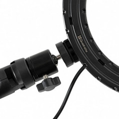 Quadralite LED Ring Light 8 pollici RGB