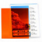 Delta Rechteckfilter vollflächig orange 95×84 mm