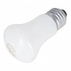 Lampadina di modellazione 60W/230V per Fomex Cricket