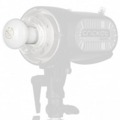 Modeling bulb 60W/230V for Fomex Cricket