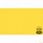 Karton Hintergrund SAVAGE Canary 1,36m x 11m