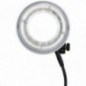 Godox R2400 Flash Annulaire pour P2400
