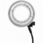 Godox R2400 Ring Light Testa flash anulare per P2400