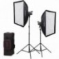 Godox Kit 2 Lumières Litemons LA200Bi LED Bi-color K2 avec accessoires Godox Kit 2 Lumières Litemons LA200Bi LED Bi-color K2 avec accessoires