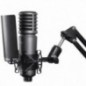 Godox XMic100GL Microfono a condensatore cardioide a diaframma largo Godox XMic100GL Microfono a condensatore cardioide a diaframma largo
