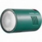 Godox AD100Pro Flash portatile da esterni (Verde)