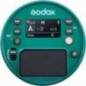 Godox AD100Pro Flash portatile da esterni (Verde)