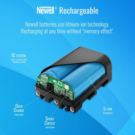 Newell DMW-BLF19E Batteria di ricambio per Panasonic