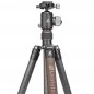 Leofoto LX-284CT+XB-38 Carbon-Fotostativ