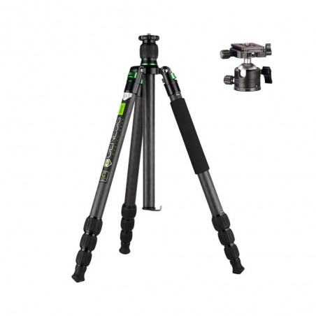 Genesis Base C3 Kit verde + testa a sfera BH-36