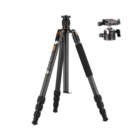 Genesis Base C3 Kit arancione + testa a sfera BH-34