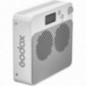 Godox ML100Bi luce LED portatile per video – Kit 2