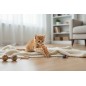 JuliaPets piccolo peluche Castoro