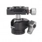 Leofoto LS-224C+LH-25 treppiede fotografico in carbonio con testa a sfera