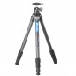 Leofoto LS-224C+LH-25 Carbon-Fotostativ mit Kugelkopf