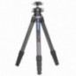 Leofoto LS-324C+LH-40PCL treppiede fotografico in carbonio con testa a sfera Leofoto LS-324C+LH-40PCL treppiede fotografico in carbonio con testa a sfera