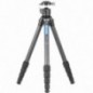 Leofoto LS-255C+LH-30 treppiede fotografico in carbonio con testa a sfera Leofoto LS-255C+LH-30 treppiede fotografico in carbonio con testa a sfera