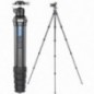 Leofoto LS-255C+LH-30 treppiede fotografico in carbonio con testa a sfera Leofoto LS-255C+LH-30 treppiede fotografico in carbonio con testa a sfera