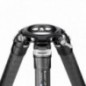 Leofoto LM-402C karbonowy statyw fotograficzny Summit