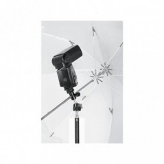 Leofoto CF-10 clamp Arca-Swiss