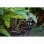 Leofoto A200+P50 Kolec terenowy 200 mm z platformą P50 (gwint 1/4") Leofoto A200+P50 Kolec terenowy 200 mm z platformą P50 (gwint 1/4")