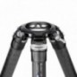 Leofoto LM-364CL trépied photo en carbone