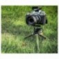 Leofoto MT-02C+LH-22 carbon fiber photo tripod with head Leofoto MT-02C+LH-22 carbon fiber photo tripod with head