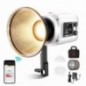 Jinbei EF-60Bi luce video LED portatile (con riflettore e zoom) Jinbei EF-60Bi luce video LED portatile (con riflettore e zoom)