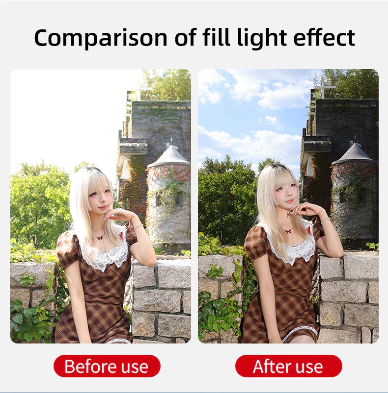 Jinbei HD-600max TTL monotorcia alimentata a batteria con borsa Outdoor fill light comparison before and after